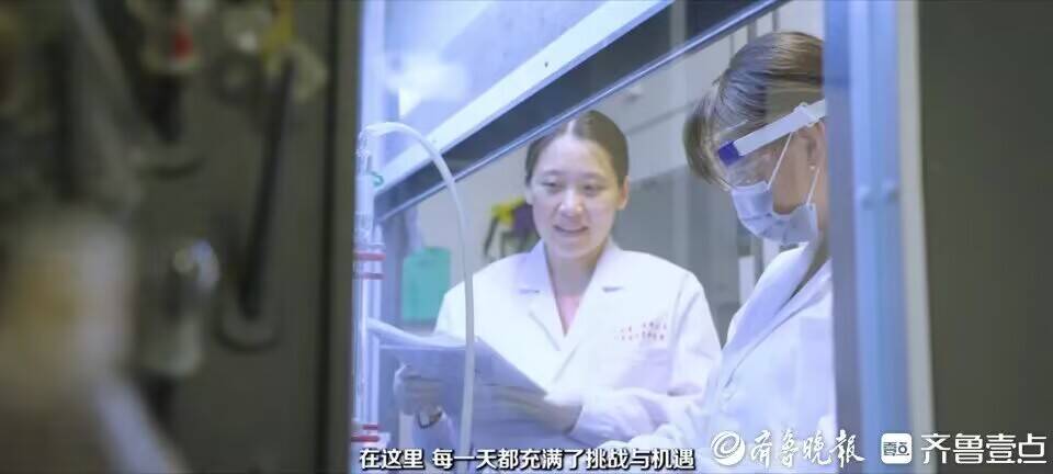 yl23455永利官网