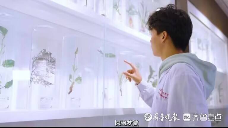yl23455永利官网