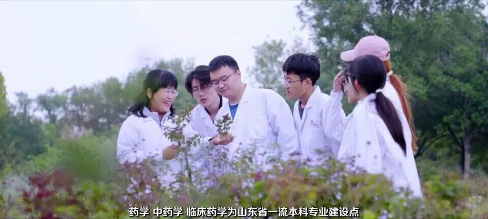 yl23455永利官网